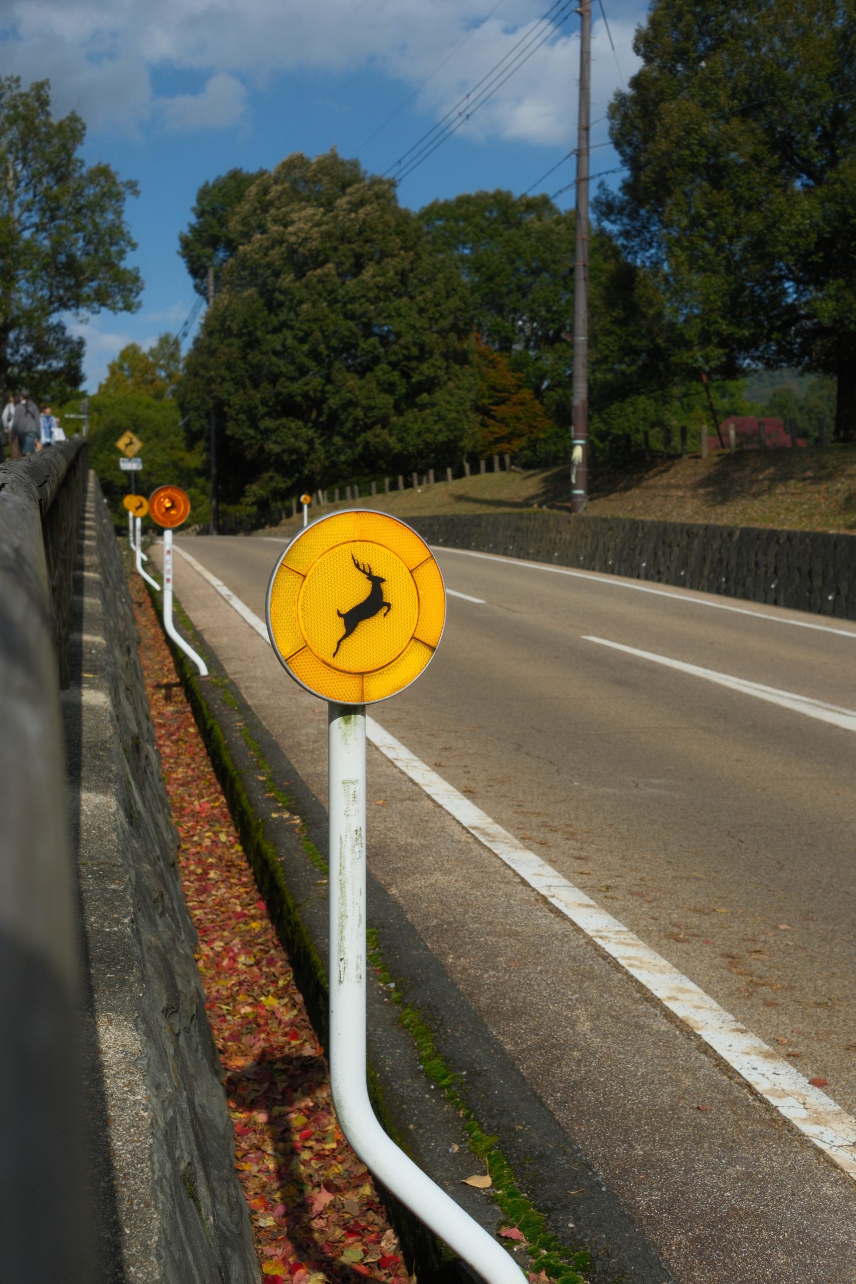 Oh Deer…!